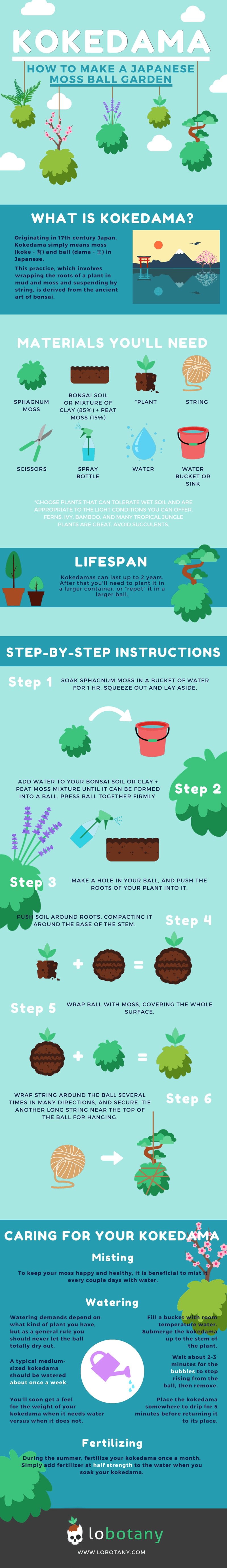 Learn to make a Japanese moss ball garden that is eye-catching and unique and not only this, it is easy to make and maintain too if you follow the steps correctly!
